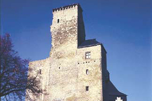 Burg Lipnice